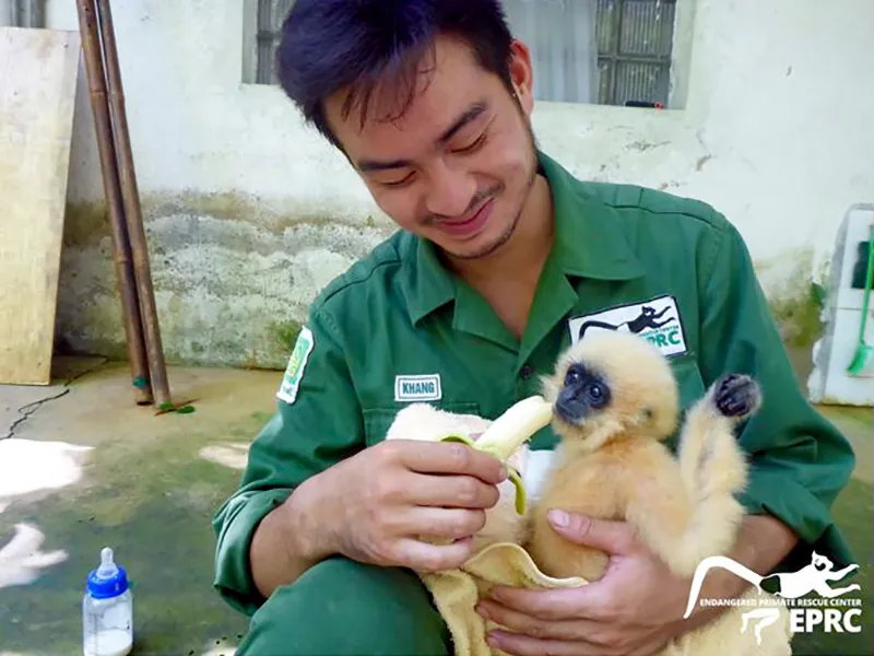 Hiện tại cá thể vượn có sức khỏe, phát triển tốt.